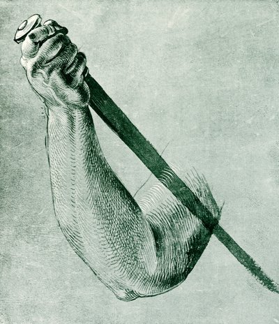 Arm Study for Lucretia by Albrecht Dürer